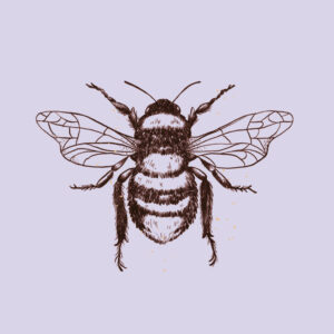 ALUPLATTE - HUMMEL